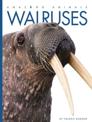 cover image of Walruses